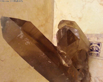 二级-西部中国网站-云南_09