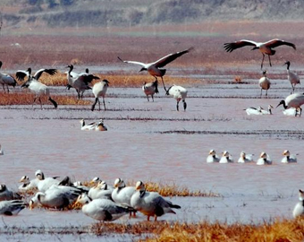 二级-西部中国网站-云南_18